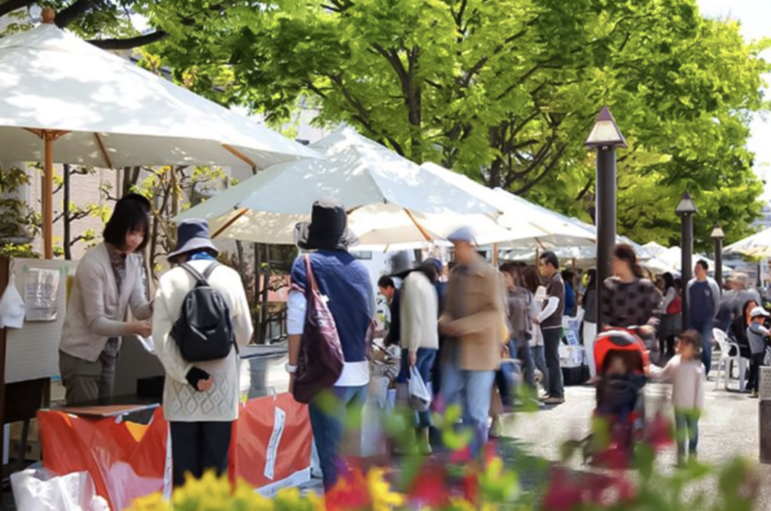 Charm Marché